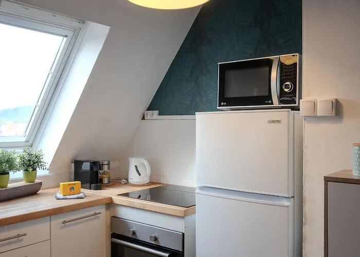 Apartmán Cocon - Selestat - Parking Gratuit - Proche Europa-Park - Route Des Vins - Haut-Koenigsbourg Sélestat