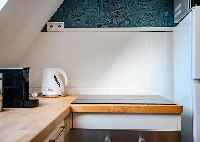 Apartmán Cocon - Selestat - Parking Gratuit - Proche Europa-Park - Route Des Vins - Haut-Koenigsbourg *