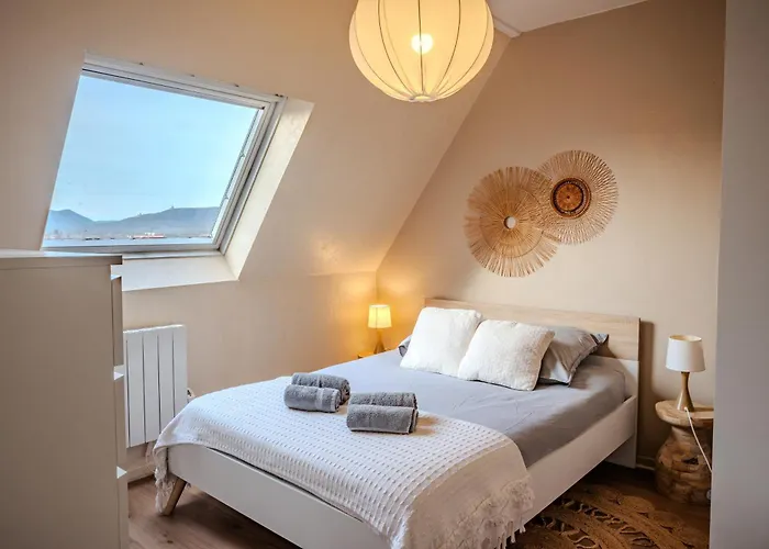 Apartmán Cocon - Selestat - Parking Gratuit - Proche Europa-Park - Route Des Vins - Haut-Koenigsbourg Sélestat