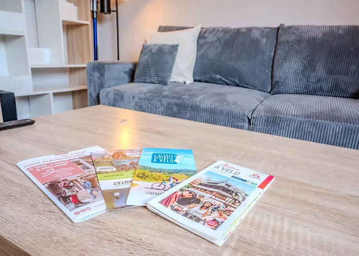 Apartmán Cocon - Selestat - Parking Gratuit - Proche Europa-Park - Route Des Vins - Haut-Koenigsbourg Sélestat
